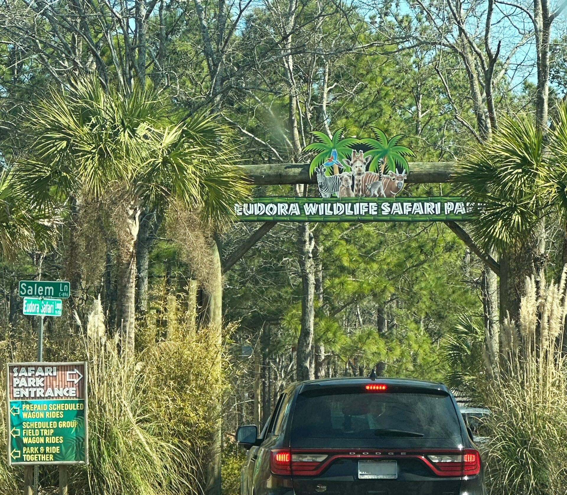 A Wild Adventure at Eudora Safari Park